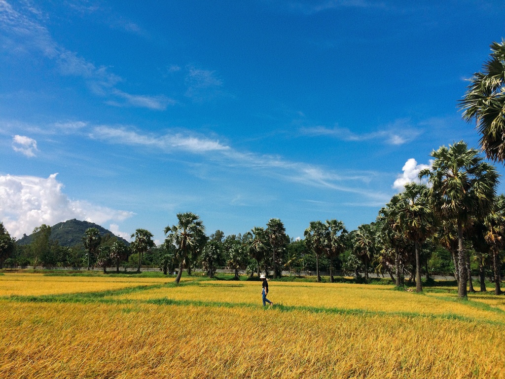 mua-thu-nam-nay-nhat-dinh-phai-du-hi-an-giang-vi-li-do-nay-wetrekvn