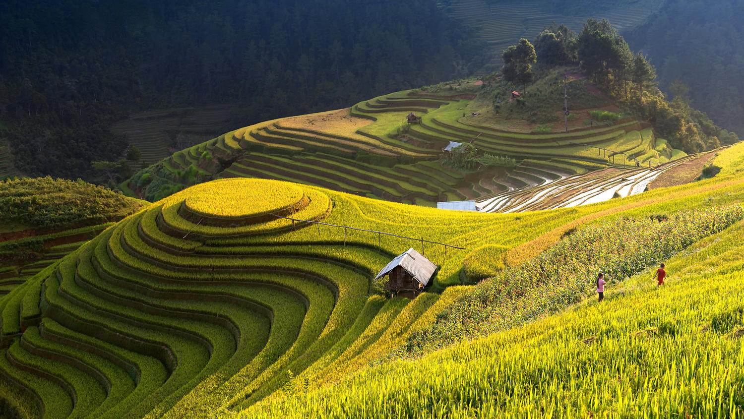 khong-chi-mu-cang-chai-hoang-phi-su-mua-lua-chin-cung-dep-hut-hon-wetrekvn