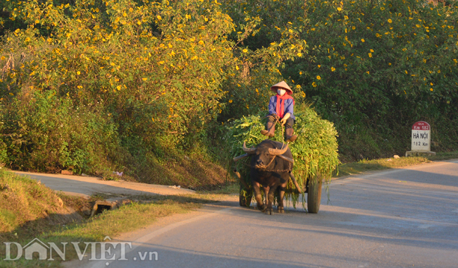 huong-sac-da-quy-dam-say-long-nguoi-o-moc-chau-wetrekvn