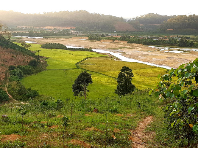 co-gai-bo-luong-nghin-usd-ve-que-lam-homestay-chat-trong-rau-ngoai-vuon-ca-trong-ao-wetrekvn