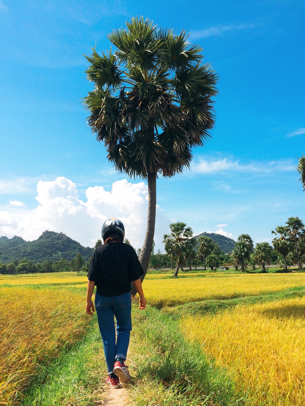 mua-thu-nam-nay-nhat-dinh-phai-du-hi-an-giang-vi-li-do-nay-wetrekvn