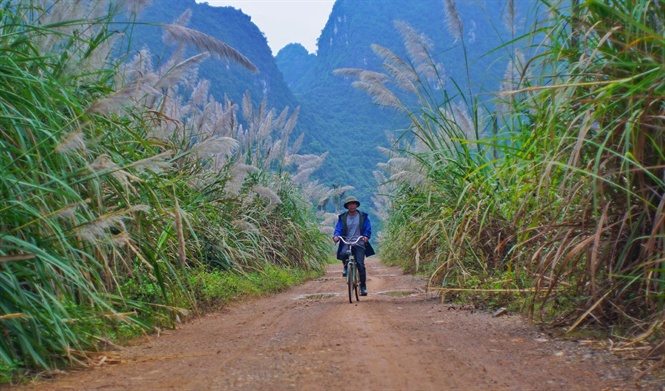 ngo-ngang-ve-dep-sac-trang-bong-lau-ninh-binh-wetrekvn