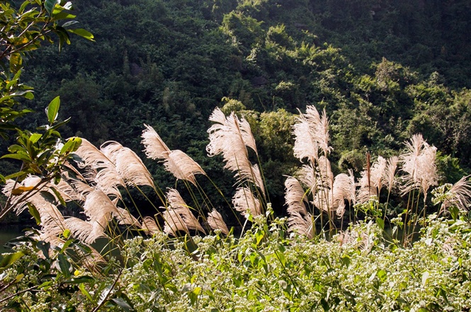 ngo-ngang-ve-dep-sac-trang-bong-lau-ninh-binh-wetrekvn