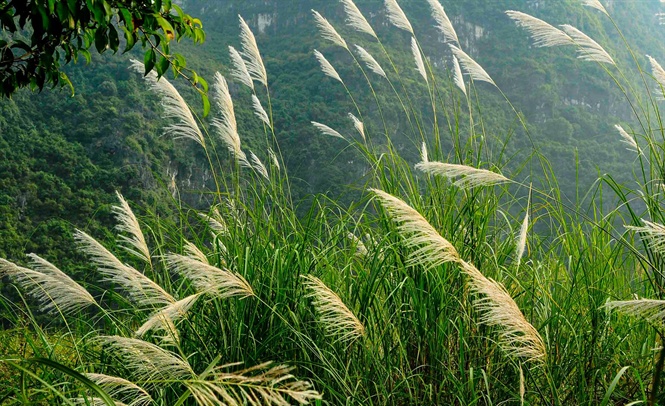 ngo-ngang-ve-dep-sac-trang-bong-lau-ninh-binh-wetrekvn