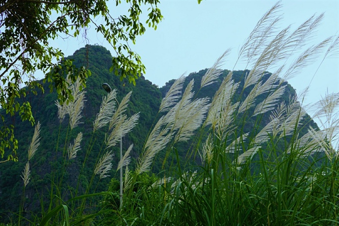 ngo-ngang-ve-dep-sac-trang-bong-lau-ninh-binh-wetrekvn