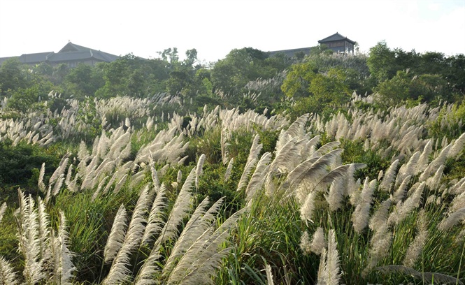 ngo-ngang-ve-dep-sac-trang-bong-lau-ninh-binh-wetrekvn