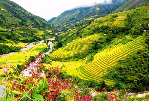 top-7-diem-gan-ha-noi-nen-den-trong-dip-tet-duong-lich-2019-wetrekvn