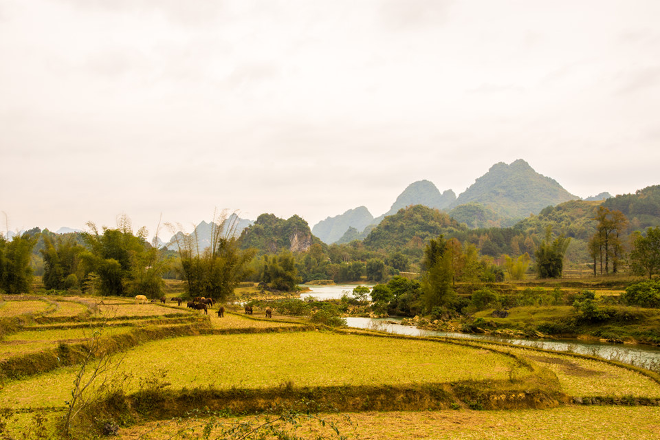 co-mot-cao-bang-dep-nhu-mua-thu-troi-au-giua-ngay-dong-lanh-gia-wetrekvn