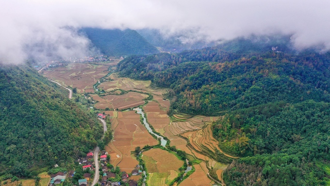 mua-cay-do-la-vang-o-cao-bang-wetrekvn