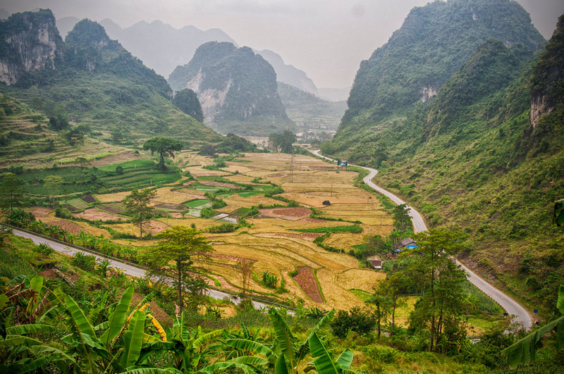 toi-cao-bang-dung-quen-ghe-tham-deo-ma-phuc-tho-mong-wetrekvn