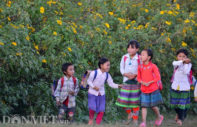 huong-sac-da-quy-dam-say-long-nguoi-o-moc-chau-wetrekvn