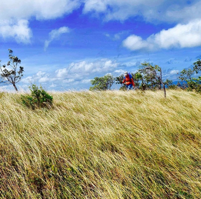 me-man-voi-cung-duong-trekking-dep-nhat-viet-nam-bat-ke-hai-mua-mua-nang-wetrekvn