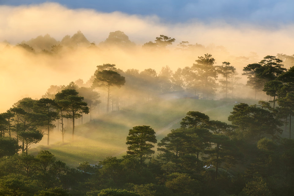 Me-dam-truoc-khoanh-khac-Da-Lat-chim-trong-suong-mu-thang-10-wetrekvn