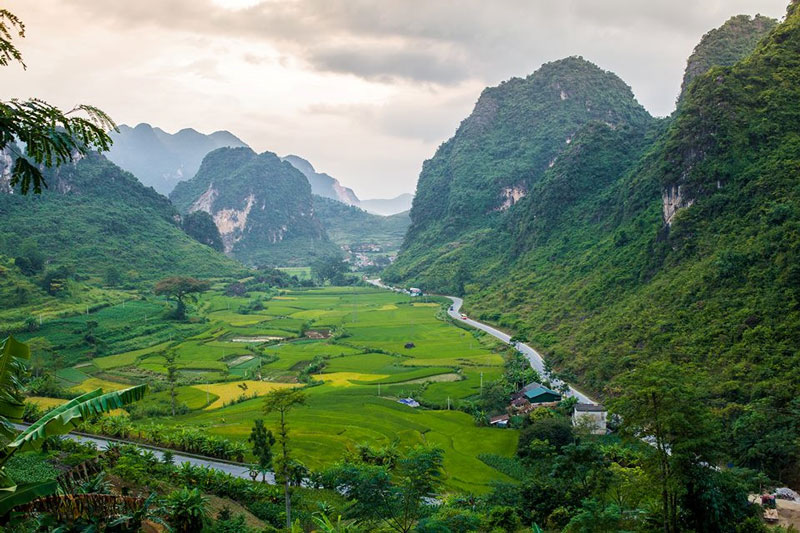 toi-cao-bang-dung-quen-ghe-tham-deo-ma-phuc-tho-mong-wetrekvn