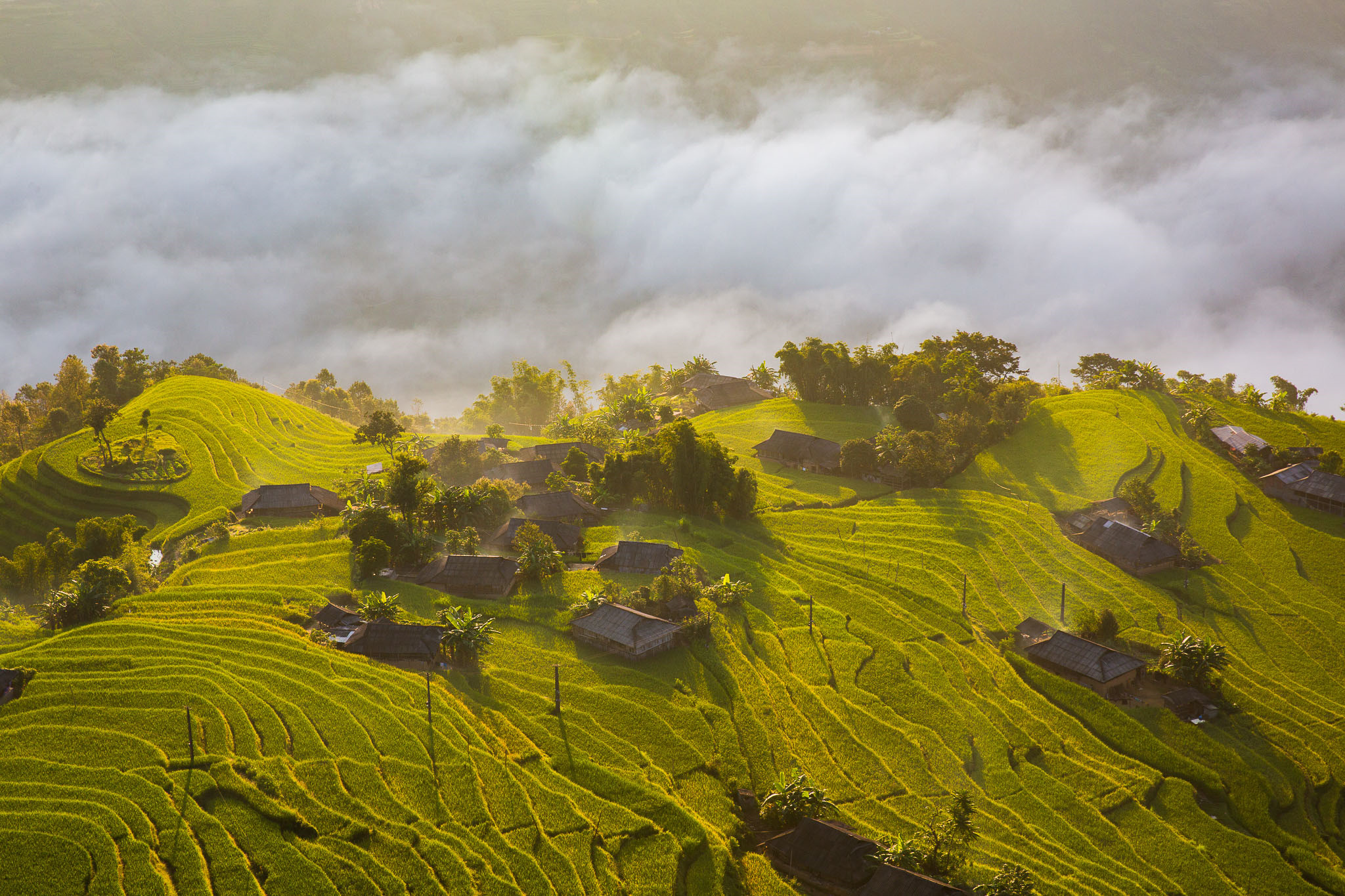 khong-chi-mu-cang-chai-hoang-su-phi-mua-lua-chin-cung-dep-hut-hon-wetrekvn