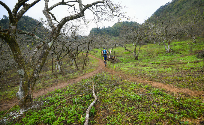 khach-tay-chi-tien-trieu-de-chay-marathon-giua-mua-hoa-moc-chau-wetrekvn