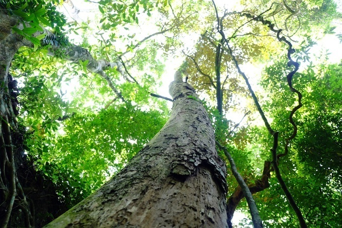 chi-can-di-ve-trong-ngay-ban-cung-chinh-phuc-duoc-3-cung-duong-trekking-thu-vi-nay-o-mien-bac-wetrekvn