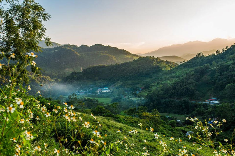 toi-cao-bang-dung-quen-ghe-tham-deo-ma-phuc-tho-mong-wetrekvn