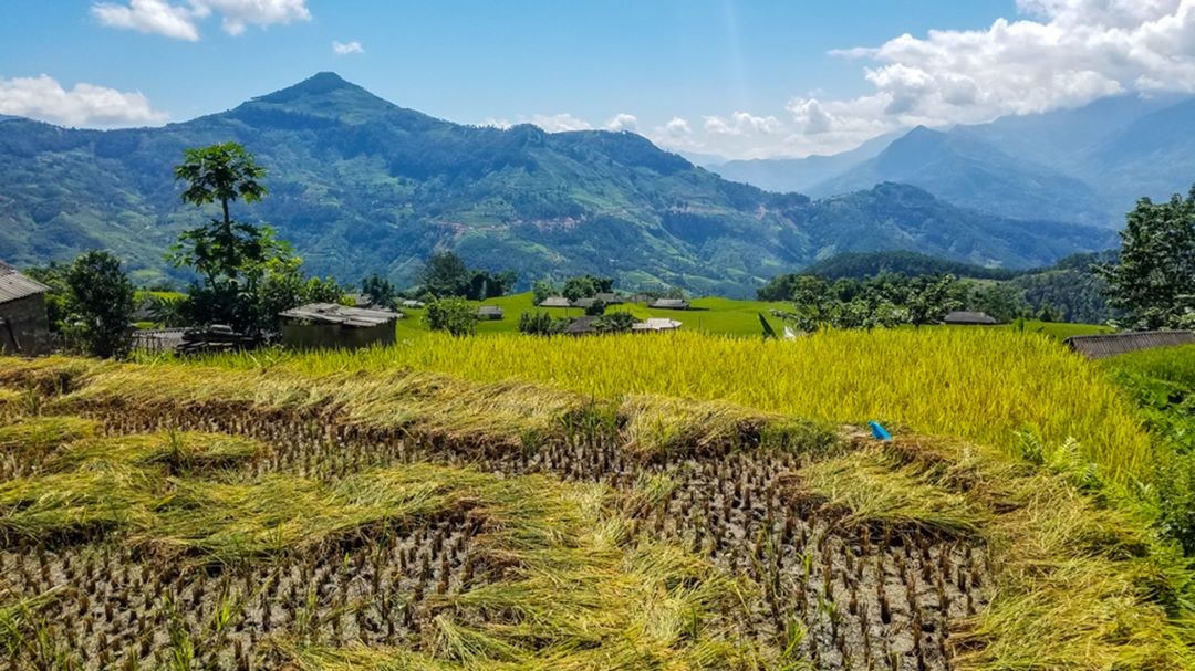 khong-chi-mu-cang-chai-hoang-su-phi-mua-lua-chin-cung-dep-hut-hon-wetrekvn