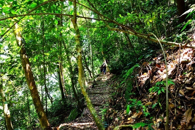 chi-can-di-ve-trong-ngay-ban-cung-chinh-phuc-duoc-3-cung-duong-trekking-thu-vi-nay-o-mien-bac-wetrekvn