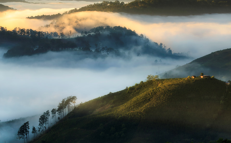 Me-dam-truoc-khoanh-khac-Da-Lat-chim-trong-suong-mu-thang-10-wetrekvn