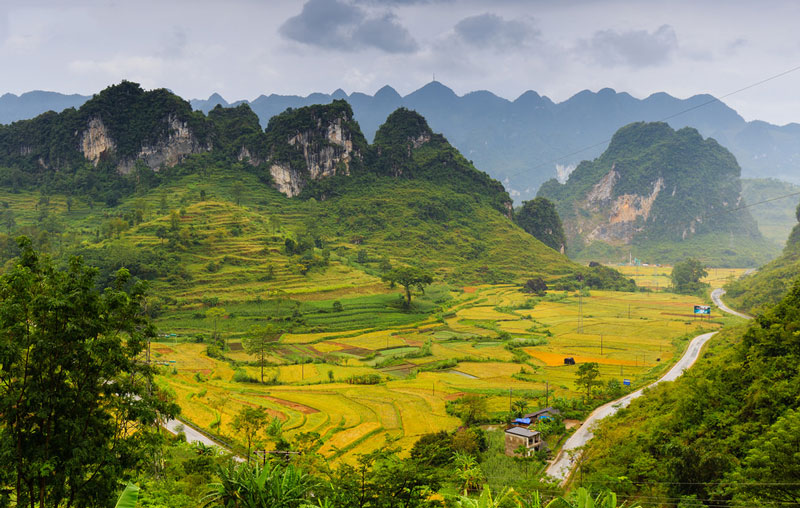 toi-cao-bang-dung-quen-ghe-tham-deo-ma-phuc-tho-mong-wetrekvn