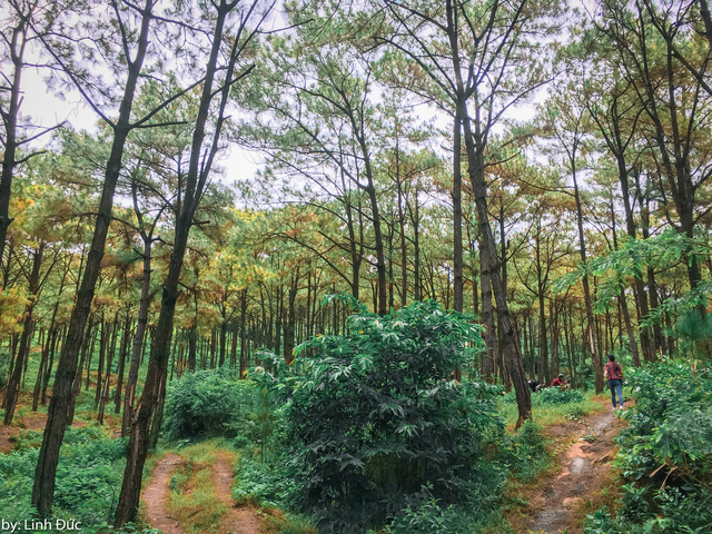 chinh-phuc-nui-da-chong-doc-nhat-vo-nhi-o-quang-ninh-wetrekvn