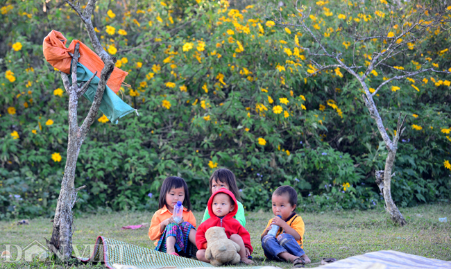 huong-sac-da-quy-dam-say-long-nguoi-o-moc-chau-wetrekvn