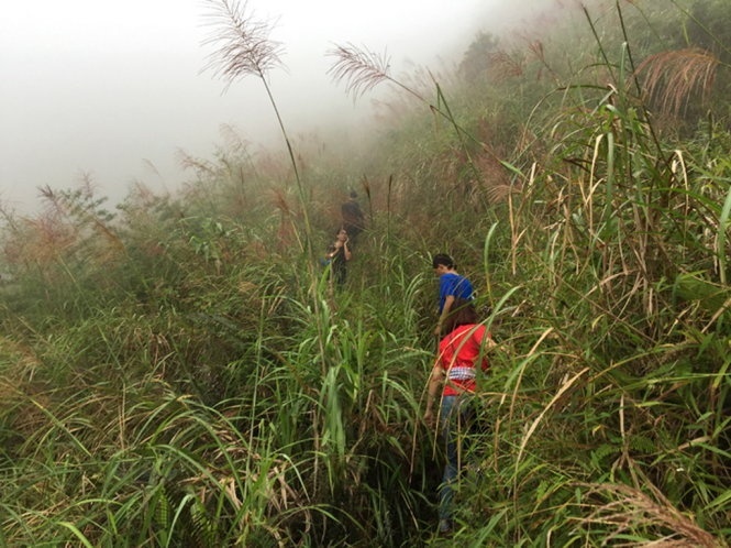 chi-can-di-ve-trong-ngay-ban-cung-chinh-phuc-duoc-3-cung-duong-trekking-thu-vi-nay-o-mien-bac-wetrekvn