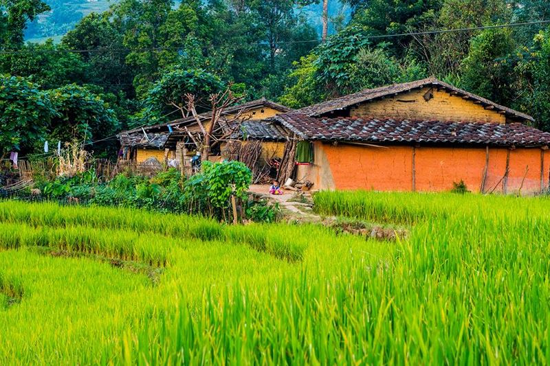 ngay-thu-yen-binh-o-mien-bien-vien-binh-lieu-wetrekvn