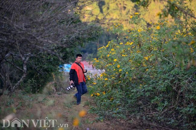 huong-sac-da-quy-dam-say-long-nguoi-o-moc-chau-wetrekvn