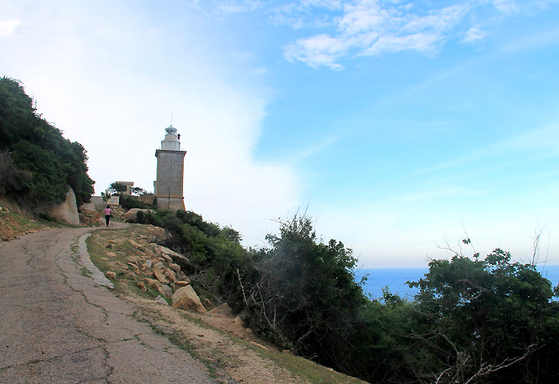 ghe-ninh-thuan-kham-pha-ve-dep-hoang-so-binh-di-o-mui-dinh-wetrekvn