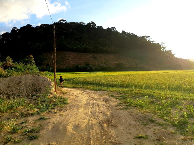 co-gai-bo-luong-nghin-usd-ve-que-lam-homestay-chat-trong-rau-ngoai-vuon-ca-trong-ao-wetrekvn