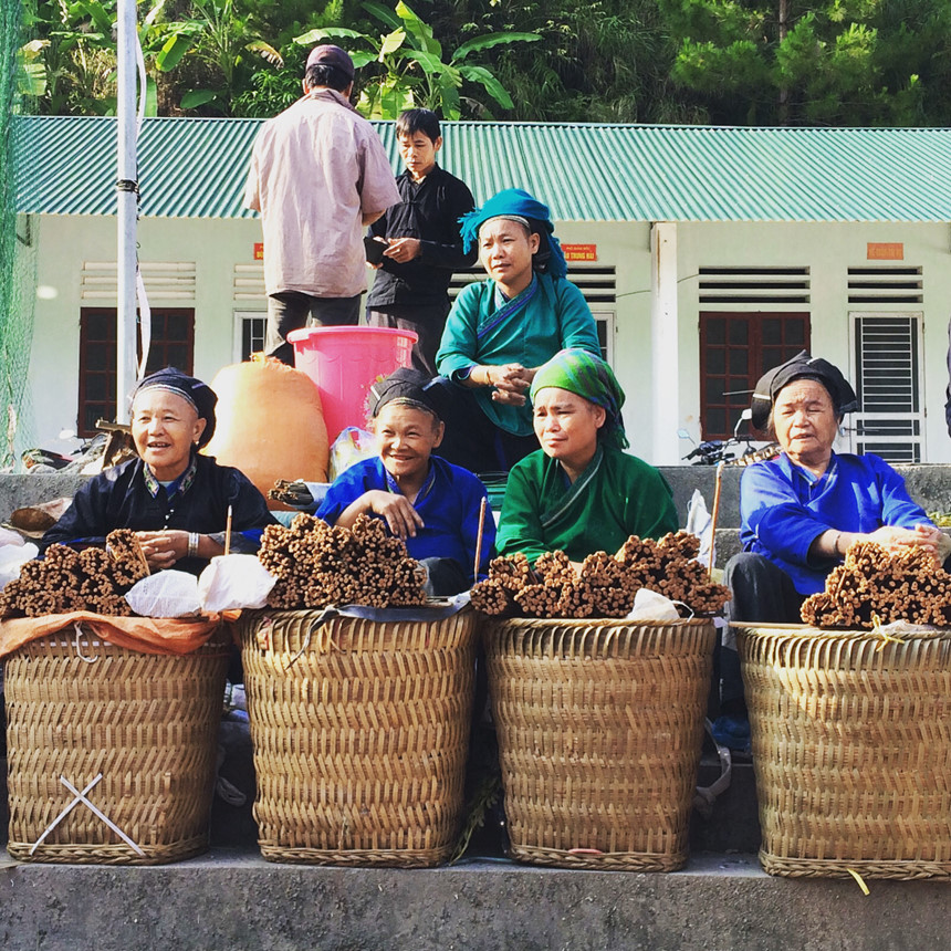 khong-chi-mu-cang-chai-hoang-su-phi-mua-lua-chin-cung-dep-hut-hon-wetrekvn