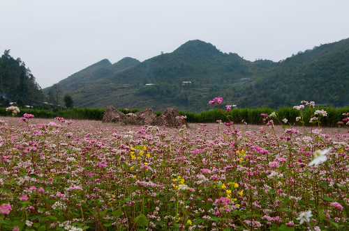 nen-di-dau-de-tan-huong-mua-thu-mien-bac-wetrekvn