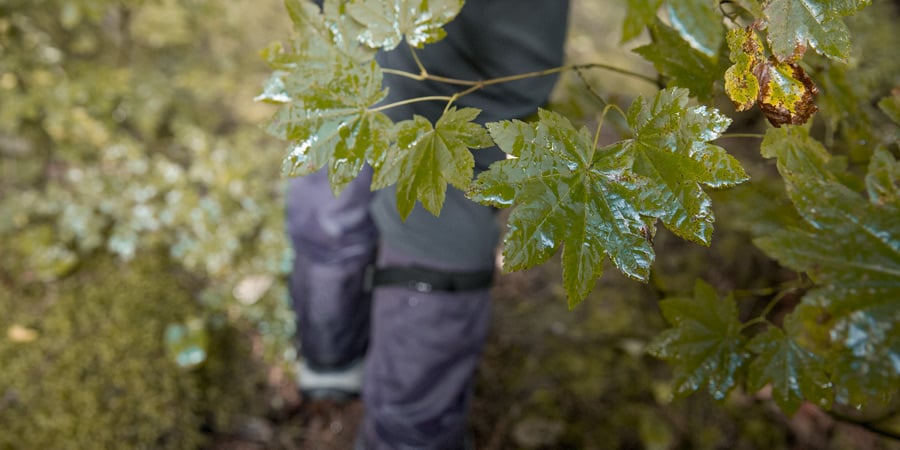 lam-the-nao-de-di-trekking-duoi-mua-wetrekvn