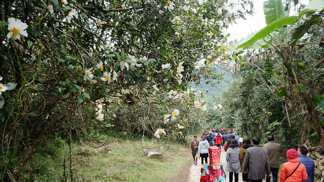 phat-hien-dia-diem-moi-cho-dan-phuot-khi-den-quang-ninh-wetrekvn