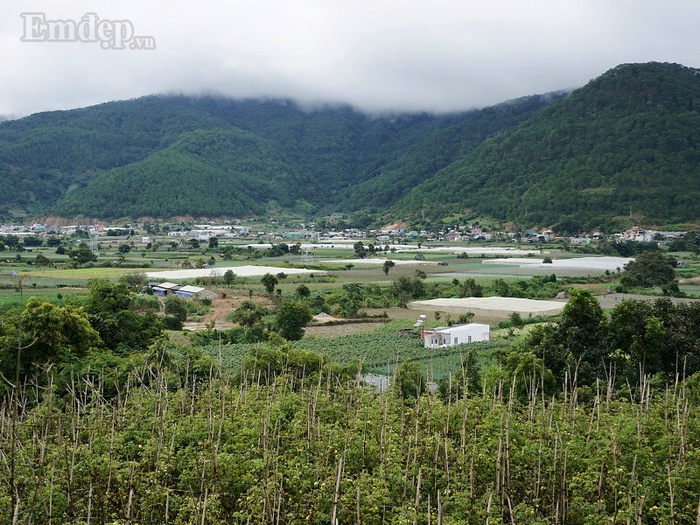 ngai-da-lat-dong-duc-sao-khong-thu-don-giang-sinh-va-nam-moi-o-don-duong-wetrekvn