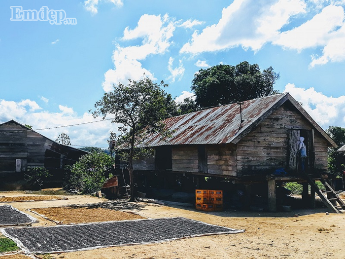 ngai-da-lat-dong-duc-sao-khong-thu-don-giang-sinh-va-nam-moi-o-don-duong-wetrekvn