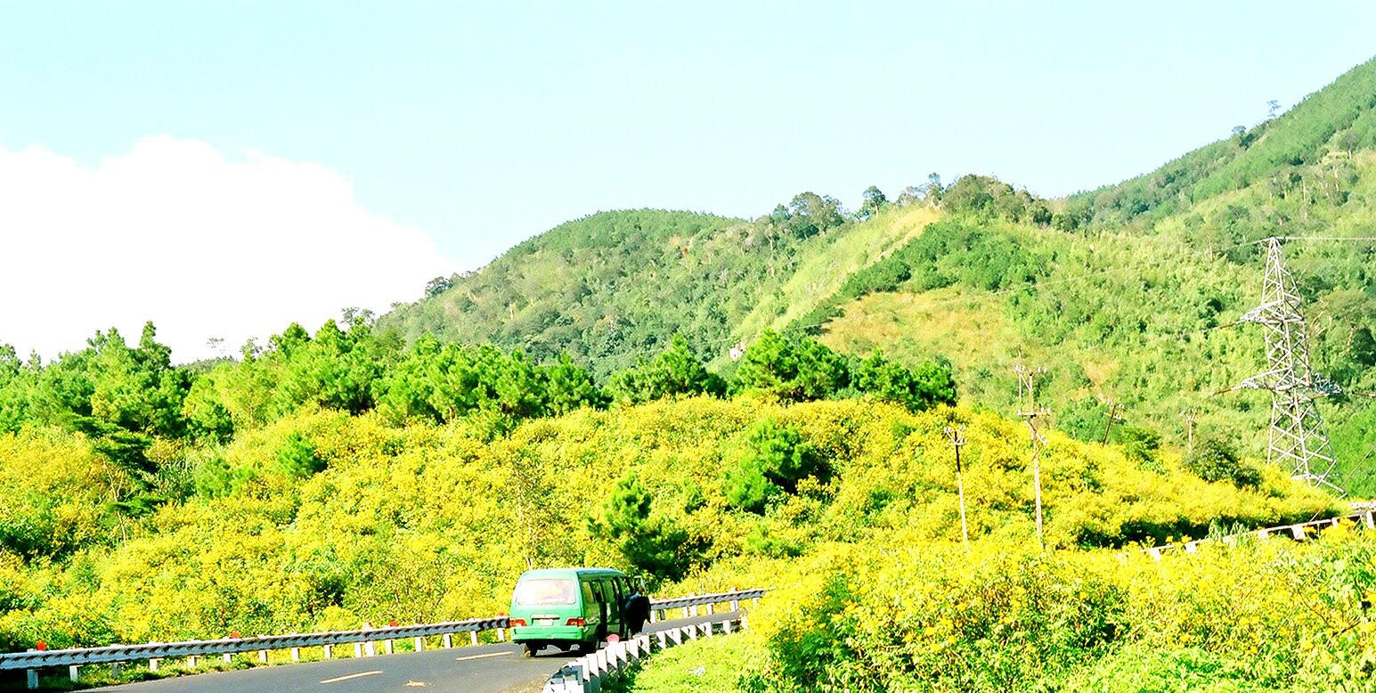 mua-nay-len-da-lat-de-lac-loi-giua-sac-vang-hoa-da-quy-wetrekvn