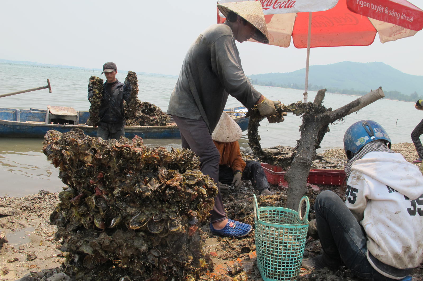 dau-chi-rieng-nha-trang-hue-gio-cung-so-huu-con-duong-di-bo-giua-bien-chang-thua-kem-gi-diep-son-wetrekvn