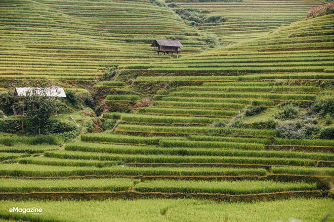 neu-ban-khong-den-mu-cang-chai-mua-nay-ban-se-khong-biet-mua-lua-chin-dep-den-the-nao-wetrekvn