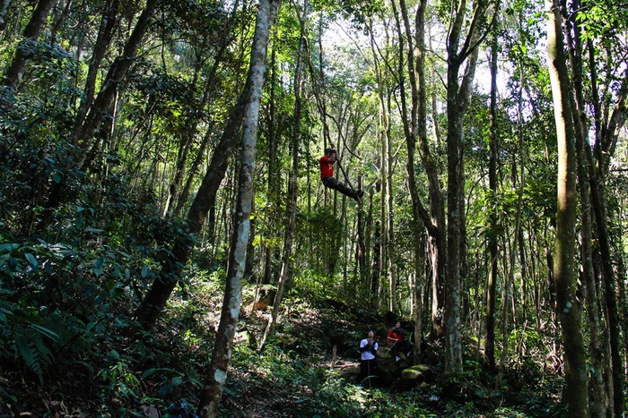 chi-can-di-ve-trong-ngay-ban-cung-chinh-phuc-duoc-3-cung-duong-trekking-thu-vi-nay-o-mien-bac-wetrekvn