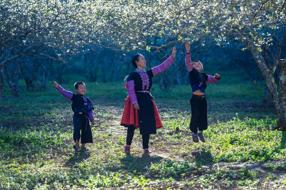 mua-hoa-man-trang-cua-nguoi-Mong-ban-Phien-Canh-wetrekvn