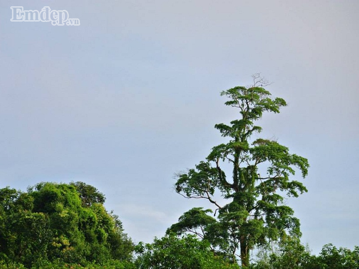 thich-phuot-ma-ngai-trekking-thi-cu-chon-cung-tri-an-ma-da-chien-khu-D-thang-tien-wetrekvn