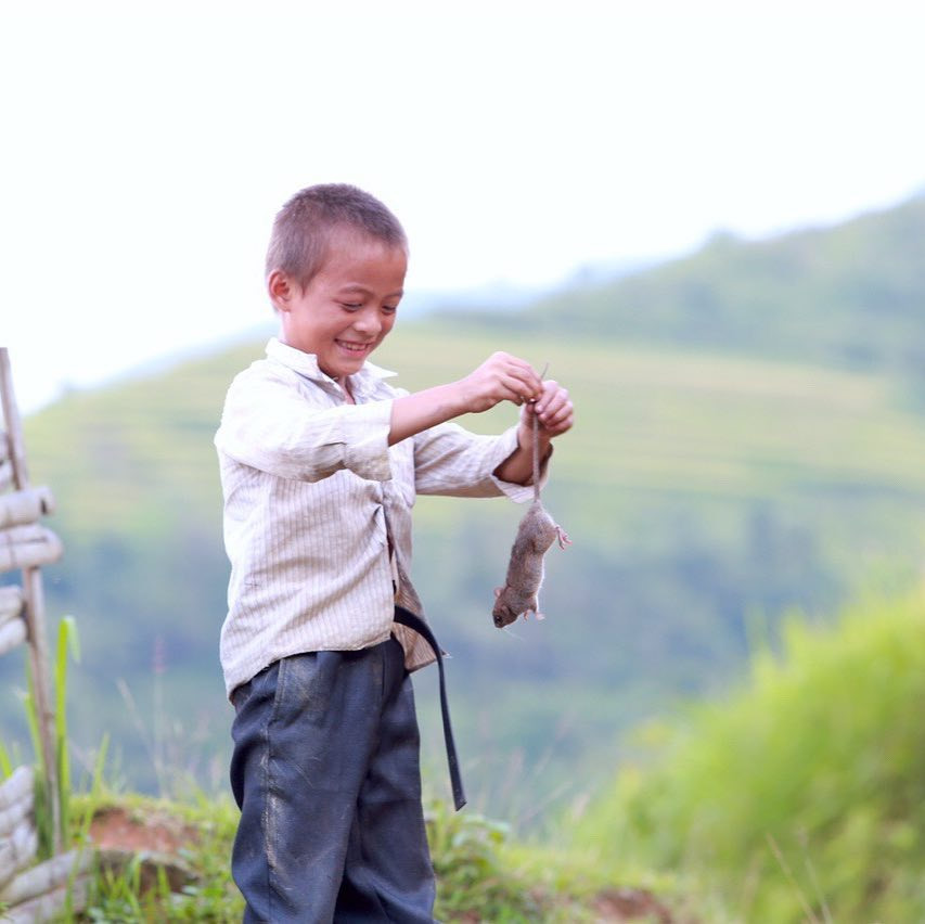 khong-chi-mu-cang-chai-hoang-su-phi-mua-lua-chin-cung-dep-hut-hon-wetrekvn