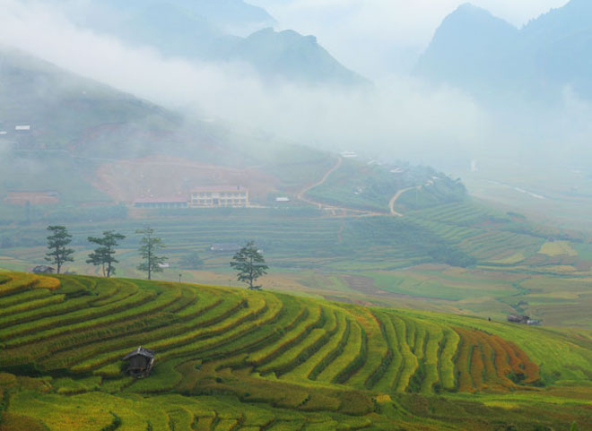 lac-loi-truoc-ve-dep-nhu-tranh-o-yen-bai