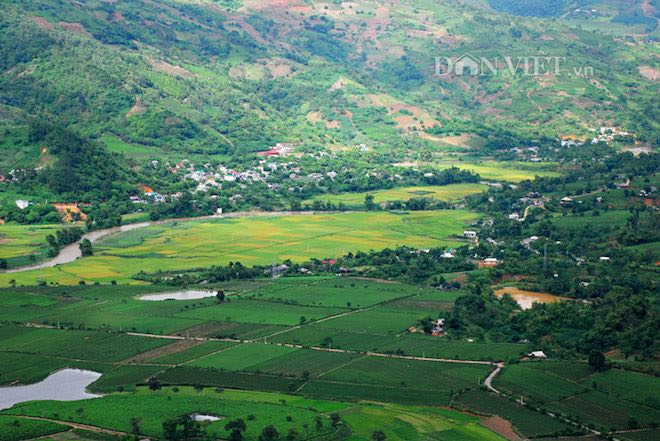 lac-loi-truoc-ve-dep-nhu-tranh-o-yen-bai