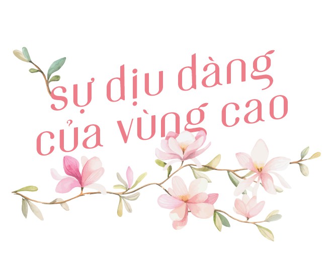 ha-giang-mua-nay-da-cung-no-hoa