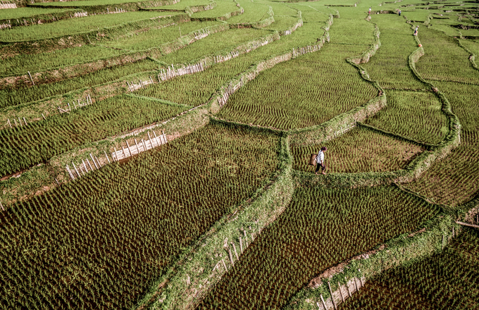 cuoc-doi-nghiep-anh-gia-my-sang-trang-khi-den-viet-nam